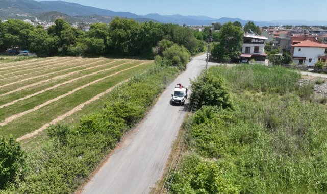 Sivrisinek, unutulan bir bardak suda bile üreyebiliyor