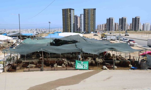 Toroslar Kurban Bayramı'na hazır