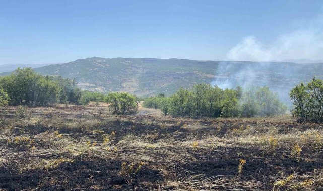 Tunceli'de 3 ayrı bölgede çıkan yangınlardan 2'si söndürüldü, 1'ine müdahale sürüyor