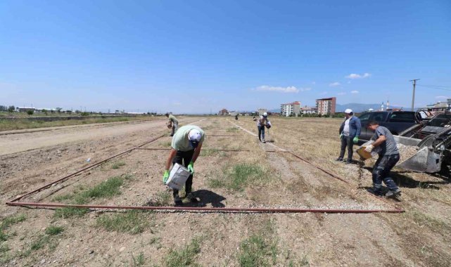 Turgutlu'da Kurban Bayramı için hummalı hazırlık