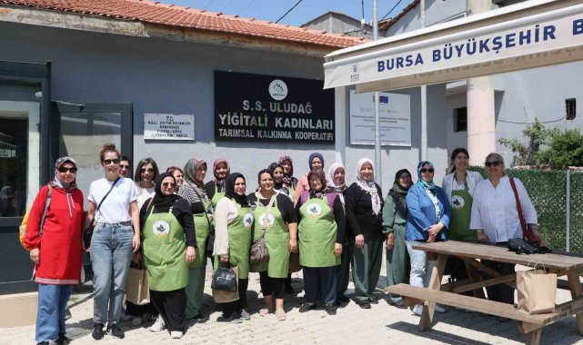 'Yukarı Sakarya Havzası'nda Arazi Tahribatını Dengeleme Projesi' devam ediyor