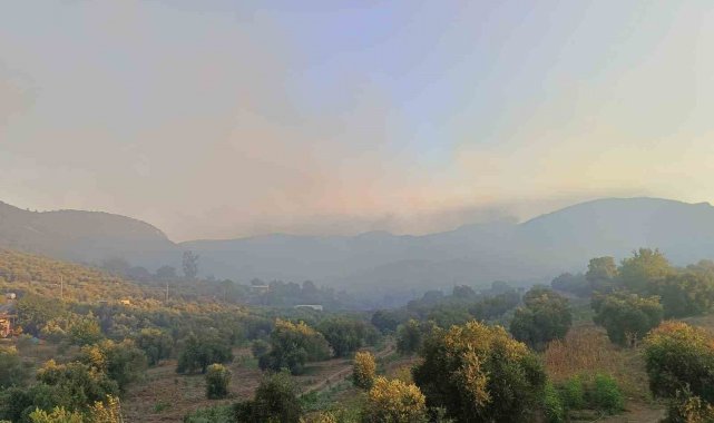 Adana Kozan'da orman yangını