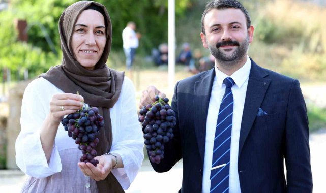 Akdeniz Belediyesi'nden Esenli Üzüm Şenliği'ne davet