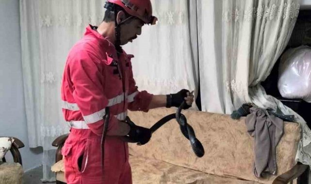 Antakya'da eve giren yılanı itfaiye yakaladı