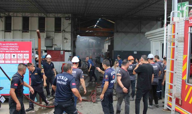 Aydın'da fabrika yangını: 9 kişi dumandan etkilendi