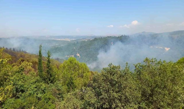 Balıkesir'deki orman yangınlarına müdahale sürüyor