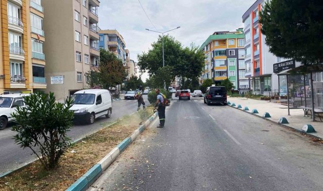 Başkan Nallar: "Herkes üstüne düşeni yapsın, şehrimize hep birlikte sahip çıkalım"