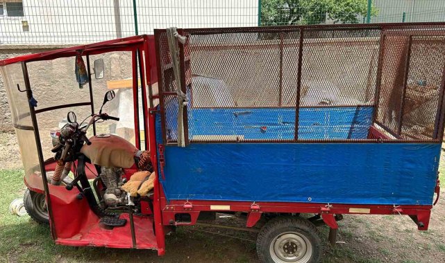 Bazada bulunan cesedin sırrı çözüldü