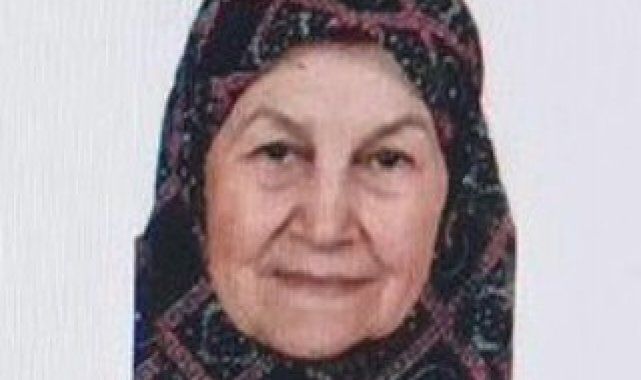 Bilecik'te kaybolan yaşlı kadın her yerde aranıyor