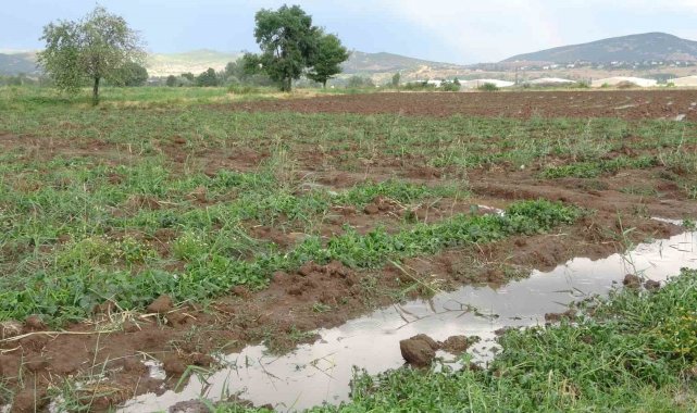 Bingöl'de bölgesel dolu yağışı sebze fidelerine zarar verdi