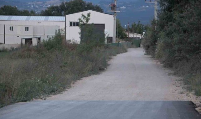 Bir köpek dehşeti de Bursa'dan...
