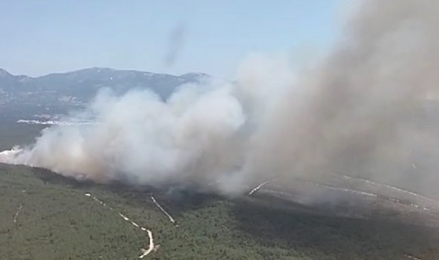 Buca'da orman yangını