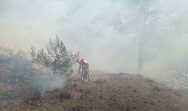 Burhaniye'deki orman yangını kısa sürede kontrol altına alındı
