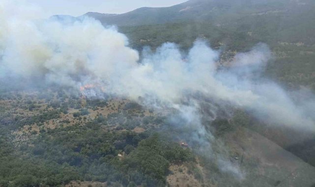 Bursa'da orman yangınına havadan ve karadan müdahale sürüyor