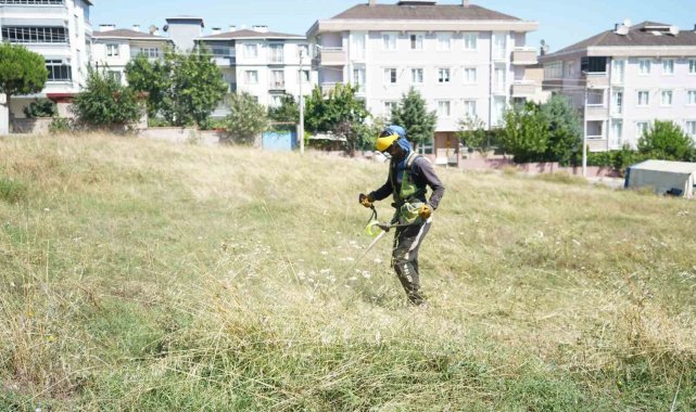 Çayırova'da yabani ot temizliği sürüyor
