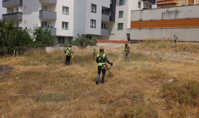 Çayırova'da yabani otlar temizleniyor