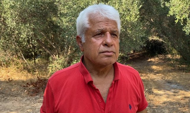 Doğa harikası Yeşilgöl'de beğeni uğruna doğa katliamına Prof. Dr. Gökoğlu'ndan tepki
