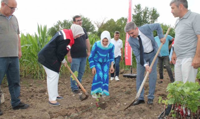 Düzceli kadın çiftçiler tarımsal yeniliklerle buluşuyor