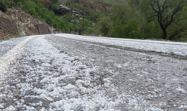 Erzincan'da dolu yağışı etkili oldu
