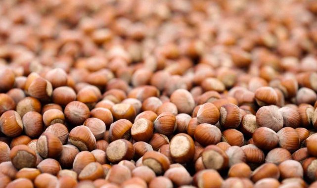 Ferrero sürdürülebilir fındık için kaydettiği güçlü ilerlemeyi ve yeni dönem hedeflerini açıkladı