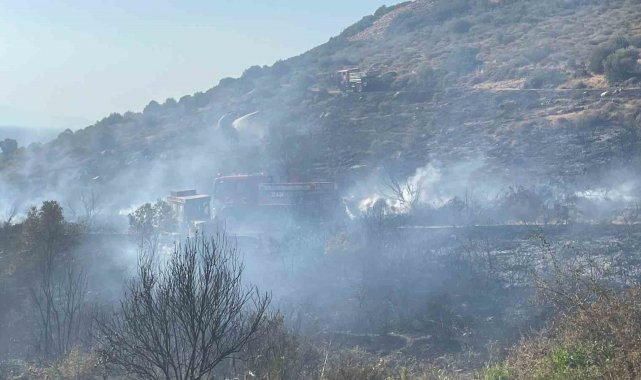 Foça'daki orman yangını alev alan araçtan çıkmış
