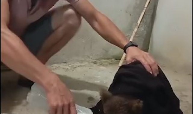 Gece yarısı kapısına gelen yavru ayıyı aç göndermedi