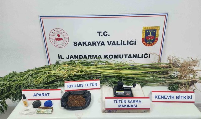 Jandarma şehirde uyuşturucuya geçit vermiyor