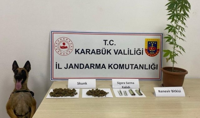 Jandarmadan uyuşturucu operasyonu