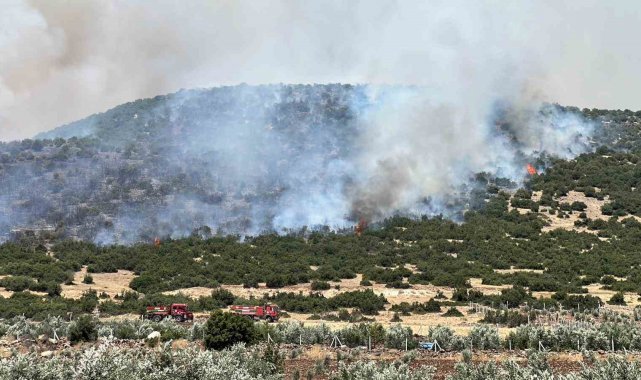 Kahramanmaraş'ta makilik alanda çıkan yangın kontrol altına alındı