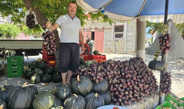 Kapıdağ mor soğanı tezgahlarda yerini aldı