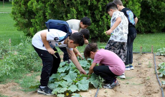 Karatay tabiat mektebi yaz dönemi eğitimleri sürüyor