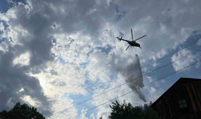 Kastamonu'da bir orman yangını daha çıktı