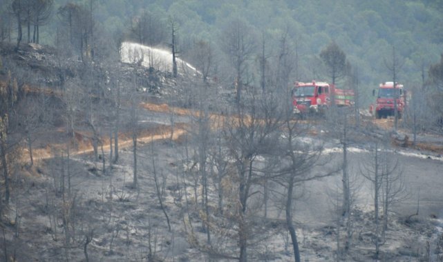 Kepsut yangını kontrol altına alındı, soğutma çalışmaları devam ediyor