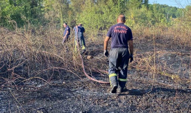 Kocaeli'de ağaçlık alan yandı: 10 hektar küle döndü