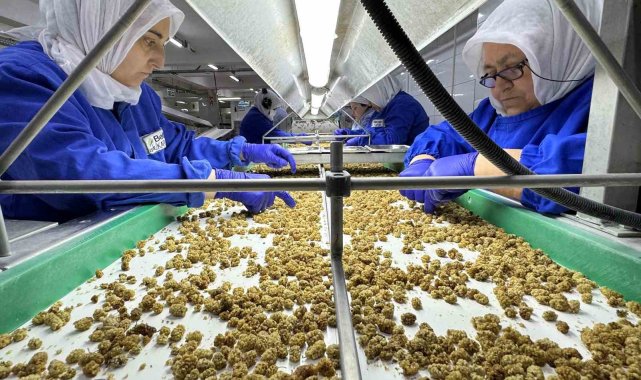 Kuru meyve ihracatı 829 milyon dolara yükseldi
