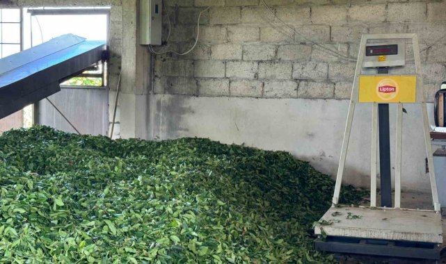 Lipton'a vatandaşlardan fiyat tepkisi