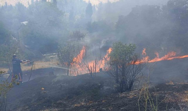 Malatya'da bahçelik alanda korkutan yangın