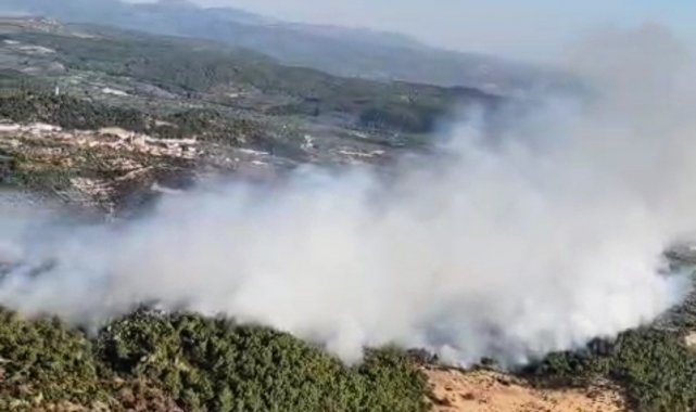 Manisa'da orman yangını