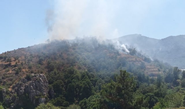 Mersin'de orman yangınına, havadan ve karadan müdahale ediliyor