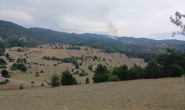 Osmancık'ta çıkan orman yangını kontrol altına alındı