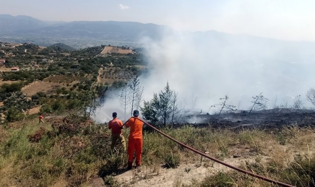 Sakarya'da geçtiğimiz yıla göre orman yangınlarında 2 buçuk kat artış yaşandı: Jandarma uyardı