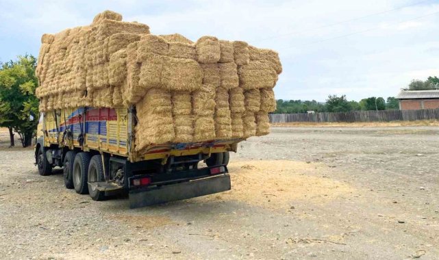 Saman balyaları ile trafiği tehlikeye düşüren sürücüye ceza