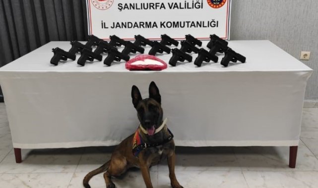 Şanlıurfa'da 18 tabanca ele geçirildi: 2 gözaltı