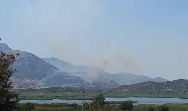 Selçuk'taki orman yangınına havadan ve karadan müdahale