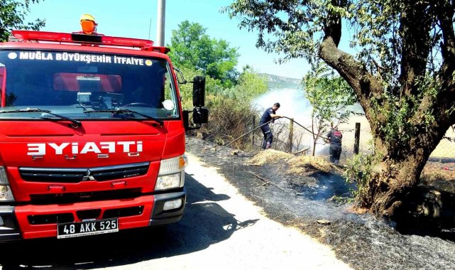 Sigara izmariti yangın çıkardı