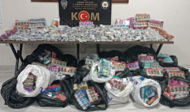 Şırnak'ta kaçakçılık ve asayiş operasyonlarında 21 kişiye işlem yapıldı
