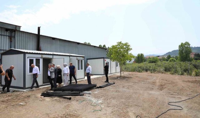 Sokak hayvanları sorununa Düzce modeli çözüm