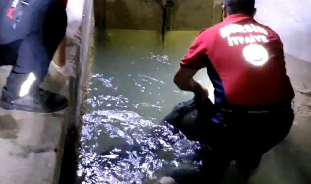 Tarsus'ta sulama kanalında erkek cesedi bulundu