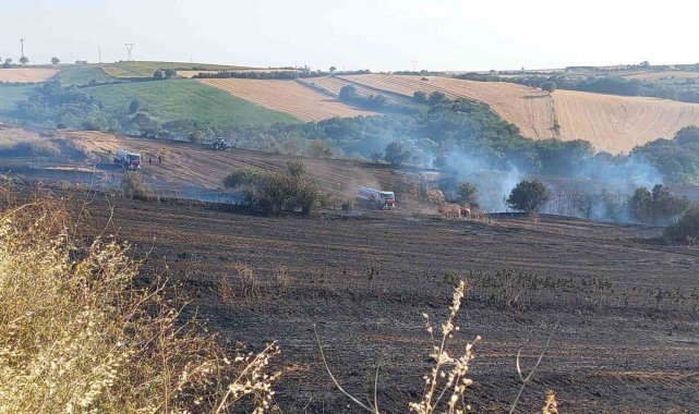 Tekirdağ'da 100 dönümlük alan yandı