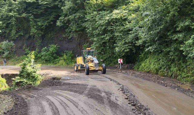 Trabzon'da şiddetli yağış su taşkınları ve toprak kaymalarına neden oldu